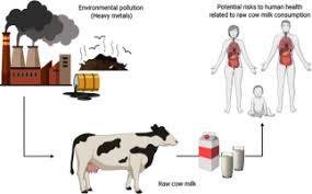 Studies in india show it contains high levels of insulin in india, it is used to treat a range of illnesses. Heavy Metals Levels In Raw Cow Milk And Health Risk Assessment Across The Globe A Systematic Review Sciencedirect