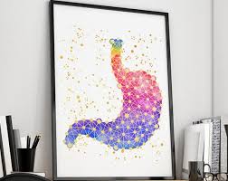 Human Stomach Poster Stomach Watercolor Print Anatomy Wall Decor Medical Art Stomach Illustration Handmade Home Decor Handmade Unique Items Products