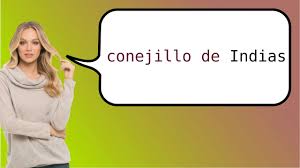 Ready to learn pig and 19 other words for animals in castilian spanish? How To Say Guinea Pig In Spanish Youtube
