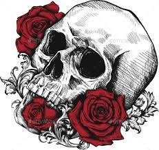 Human Skull With Roses On White Background Skulls Drawing Skull And Rose Drawing Skull Art Drawing