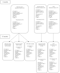 Maintenance Of Gains Morbidity And Mortality At 1 Year