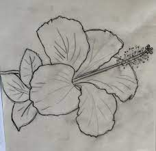 Begin by drawing a small oval to form the center of the flower. Drawing Of Hibiscus Flower Step By Step Novocom Top