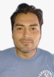 Ingresos de Otorongos Elecciones 2022