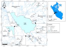 Además, ejemplos de coordenadas de diferentes ciudades. Descripcion En Epoca Seca Del Microhabitat Del Renacuajo De Telmatobius Macrostomus Peters 1873 Rana Gigante Del Lago Junin En Los Afluentes Del Lago Chinchaycocha Peru