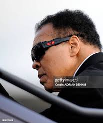 233 Adrian Freeman Stock Photos, High-Res Pictures, and Images