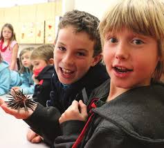 ANNUAL REPORT UPDATE