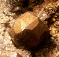 Image result for Copper 1972 Roper