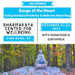 The Brahma Viharas - The Real Metta-verse - Dharmakaya Center for Wellbeing: Meditation Retreats in the New York Catskills, 191 Cragsmoor Rd Event Image