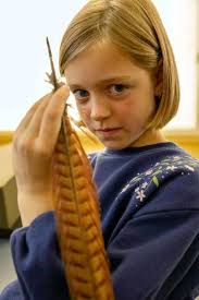 Embody your own avatar, channel your inner medieval scribe, and sign up for  botany bootcamp at the START Festival