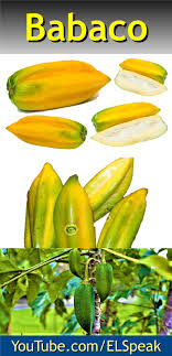 Babaco Fruit Names Fruit List Fruits Name In English