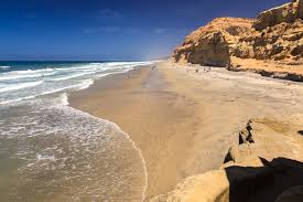 One of southern california's wildest stretches of coastal land. Torrey Pines State Reserve Loop Running Trail Del Mar California