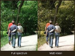 We did not find results for: How A Colour Blind Person Sees The World Matt Wilcox Net