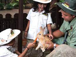 This video featuring the lost world of tambun, ipoh in perak, malaysia especially the petting zoo. Lost World Petting Zoo Lost World Of Tambun Malaysia Zoo