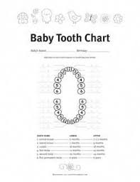 Baby Tooth Eruption Chart Free Printable Keep Track Of
