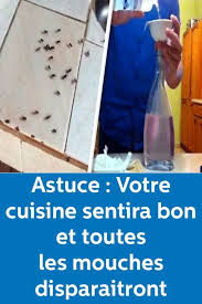Astuce Votre Cuisine Sentira Bon Et Toutes Les Mouches Disparaitront Secret Homemade Ladder