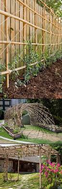 Check spelling or type a new query. The Craft Art Of Bamboo Backyard Plants Bamboo Garden Backyard Garden