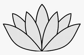How to draw a flower easy, ste. Elegant Image Of Easy To Draw Flowers Easy Drawings Simple Lily Pad Drawing Hd Png Download Transparent Png Image Pngitem