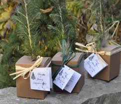 Favors Plant Wedding Favors Tree Wedding Favors Tree Seedlings