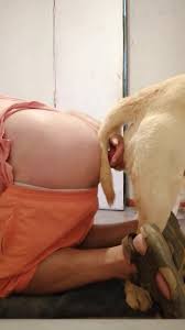 Gay Porno Homem Transando Com Cachorro Dotado - Zoofilia HD phone wallpaper