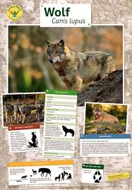 Pin Auf Kinderpostershop