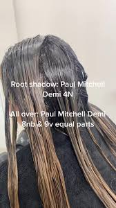 Paul Mitchell Root Smudge Formula