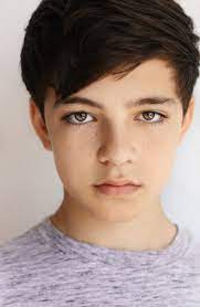 Bryce gheisar is an american actor, best known for his leading roles as young ethan in a dog's purpose and julian in wonder. Bryce Gheisar