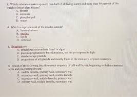The plant cell wall is made up of this substance. Solved 3 Which Substance Makes Up More Than Half Of All Chegg Com