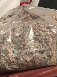 We did not find results for: Why Are My Dog S Cremains Blue Coral They Are Quite Pretty Photo Has Not Been Edited In Any Way Cremation