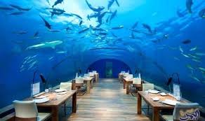 جزيرة maldives honeymoon underwater restaurant maldives