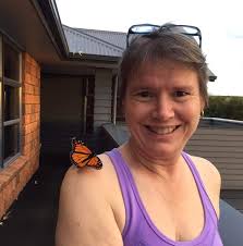 Havelock North Primary School Class of 1973 Photo Archive