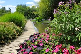 Galerie Photo Des Martels Le Jardin En Ete