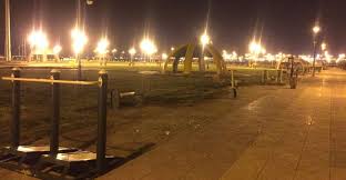 Ø­Ø¯Ø§Ø¦Ù‚ ØªØ±ÙÙŠÙ‡ÙŠ Ø­Ø¯Ø§Ø¦Ù‚ Ø­Ø¯ÙŠÙ‚Ø© Ø§Ù„Ø¹Ø§Ø±Ø¶Ø©