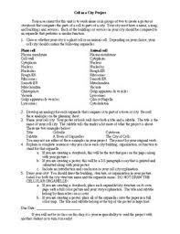 In this project you will be creating your own real or imaginary city. Cell City Project Worksheets Teachers Pay Teachers