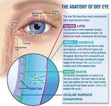 Dry Eye Disease And Its Implications On Visual Function