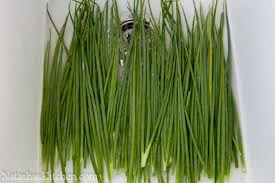How to freeze and store green onions first step is to wash your veggies. Storing And Freezing Green Onion