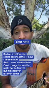 Aaron Terrapin Birds of A Feather