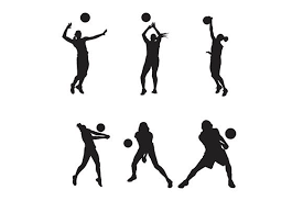 Download Volly Vector Logo Icon Silhouette Graphic By Rohmar Creative Fabrica Bola Voli Gambar Kuda PSD Mockup Templates