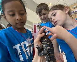 LOUISIANA'S ALLIGATOR