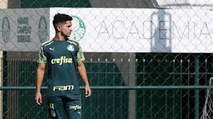 Happy for borg as we know the last couple years has been hell. Promessa Da Base Atacante Gabriel Silva Renova Com O Palmeiras Lance