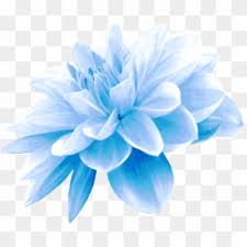 We did not find results for: Freetoedit Flowers Aesthetic Flower Blue Nature Water Color Flower Cluster Hd Png Download 2289x2289 3742148 Pngfind
