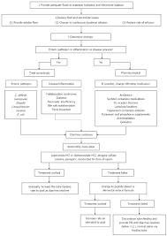 Gastroenteric Tube Feeding Techniques Problems And Solutions