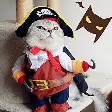 All my items are custom made to order. Pinkdose Cat Pirate Costume Xl Funny Pirate Clothes For Cats Costume Cat Clothes Puppy Outfit Suit Cats Clothes Corsair Dressing Up Clothes For Small Pet 40 Amazon In Home Kitchen
