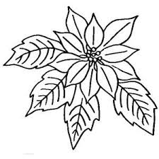 Coloring page poinsettia december holiday coloring flower winter christmas. Poinsettia In Ceramics Coloring Page Color Luna Coloring Pages Christmas Coloring Pages Flower Coloring Pages