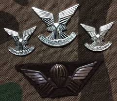Rhodesian Selous Scouts Military Insignia Military Special Forces Military History