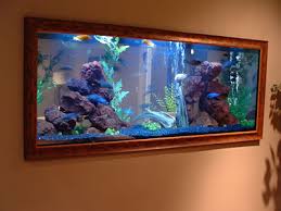 Tonton aja ini.jangan lupa like dan subscribenya yaaa.follow juga ig kita di @rumah_unik_terima kasih. Aquarium Dinding Dan Panduan Serta Cara Mudah Dan Gampang Untuk Membuatnya Dunia Akuarium