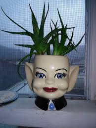 Nicky's garden center in Wheeling WV has nice plants