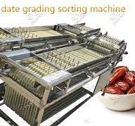 Industrial Palm Date Size Sorting Grading Machine