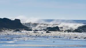 Paradiso restaurant + bar yamba. 48 Year Old Man From Greta Near Cessnock Killed In River Tragedy Near Yamba Nsw Daily Telegraph