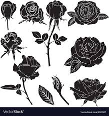 Rose Collection Vector Image On Vectorstock Black Rose Tattoo Meaning Black Rose Tattoos Black Tattoos