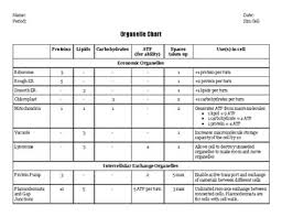 Cells are the smallest units of life. Cell Organelles Chart Worksheets Teaching Resources Tpt